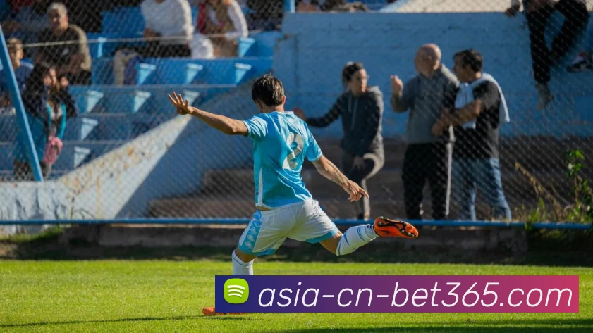 多媒体互动体验